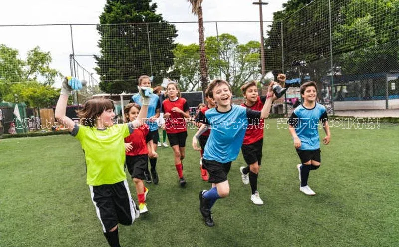 BOB半岛官方正版下载轻美电器绝对伟大的足球鬼才！嘲讽足球运动员的句子集锦，笑翻百度SEO排行榜！