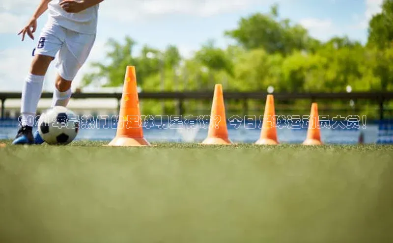 BOB半岛·体育官方网站百度网盘2021年最热门的足球明星有谁？今日足球运动员大赏！