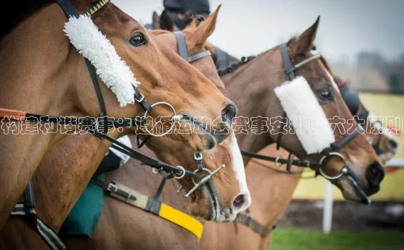 半岛官网入口网页版百度大脑构建和谐赛事：遵循运动会赛事安排的六大原则