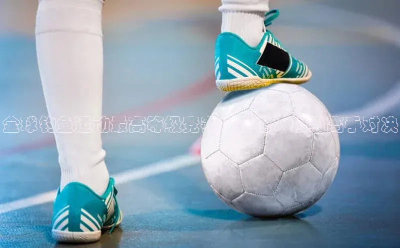 BoB半岛·体育网站慧博云通全球钓鱼运动最高等级竞赛排行榜：顶级高手对决