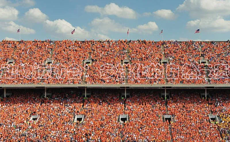 动物运动会：多样化的自然竞赛