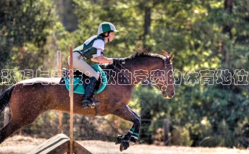 歌唱与竞技：歌曲竞赛的体育地位