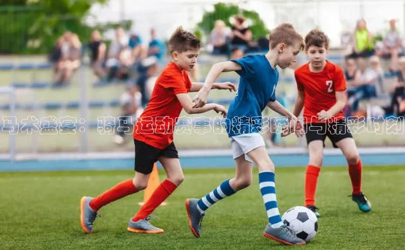 马术盛宴：骑马运动赛事的精彩瞬间与精彩时刻