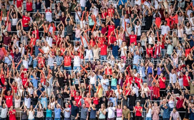 冰雪激情：2024年北京冬奥会的冬季运动项目