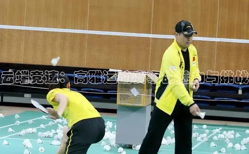 云端竞速：高雅运动赛事的魅力与挑战