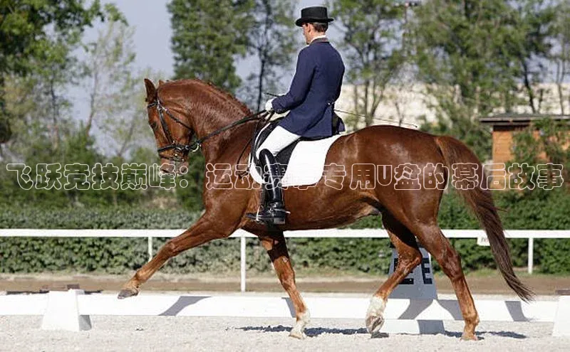 飞跃竞技巅峰：运动赛事专用U盘的幕后故事