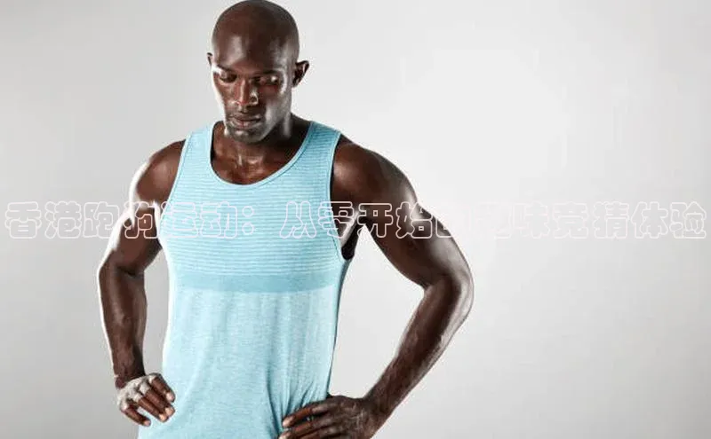 香港跑狗运动：从零开始的趣味竞猜体验