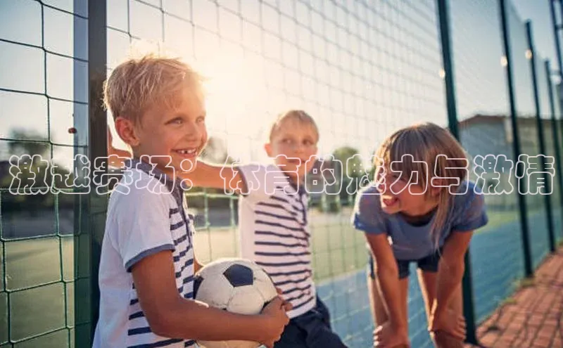 激越赛场：体育的魅力与激情