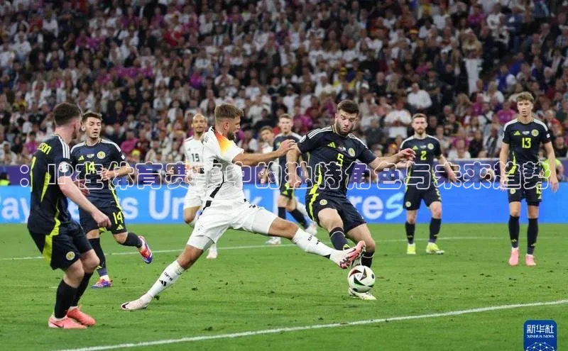 ：IP在体育赛事中的独特角色与未来趋势