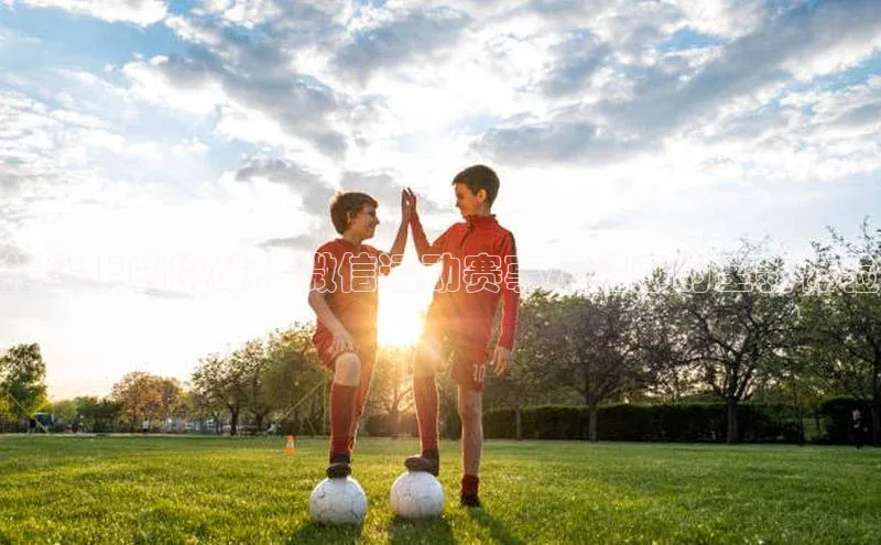 bob半岛·体育入口