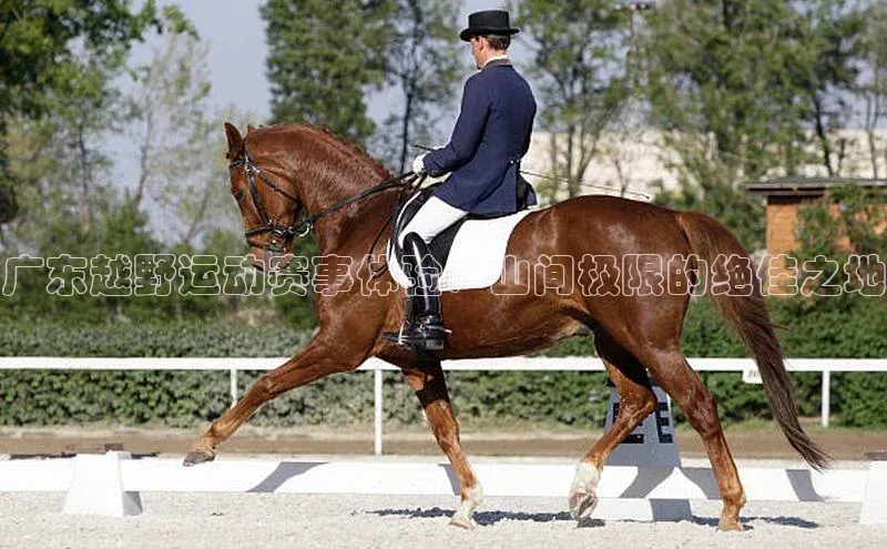 半岛·BOB最新版本更新内容