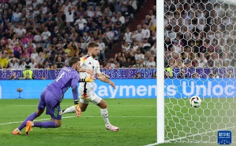 bob半岛·体育官方平台