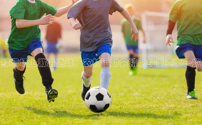 半岛·综合体育网页版