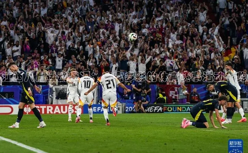 半岛·bob官方网站体育