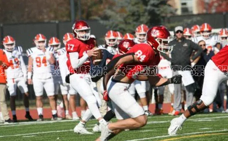 半岛bandao体育官方客服