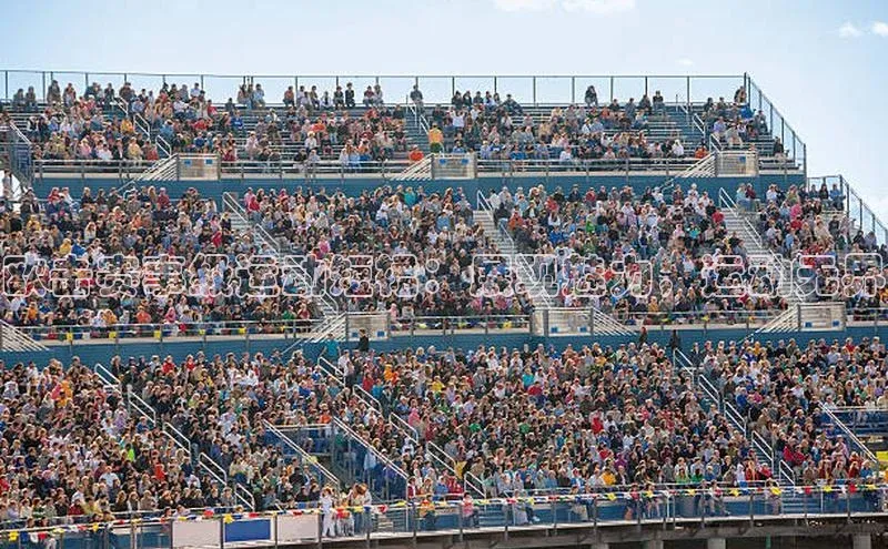 BoB半岛·体育网站